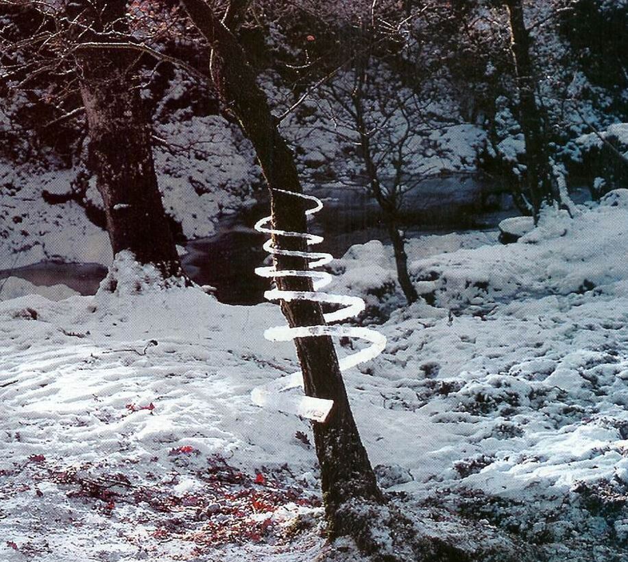 Ice Spiral: Tree Soul by Andy Goldsworthy, 1987